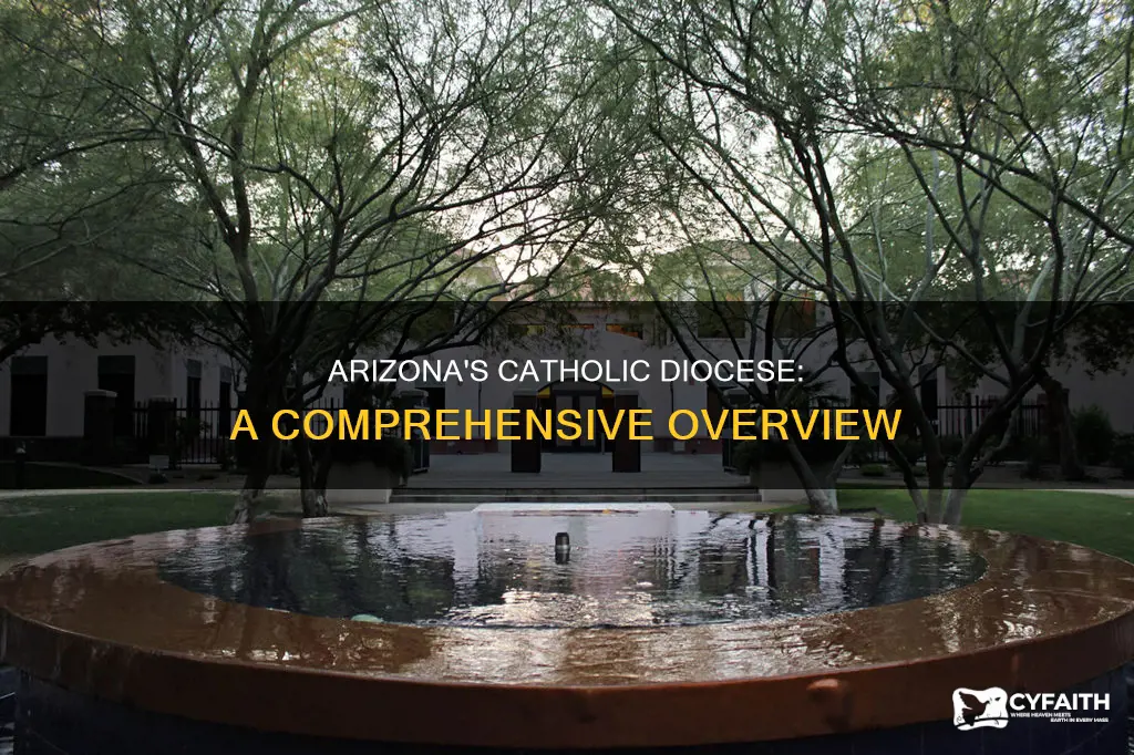 how many catholic diocese in arizona