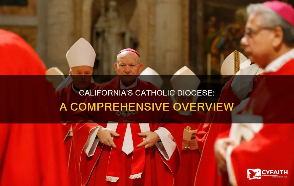 how many catholic diocese in ca