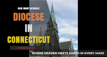 Connecticut's Catholic Community: A Diocesan Overview