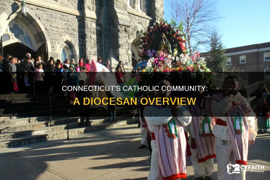 how many catholic diocese in connecticut