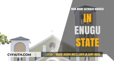 Enugu's Catholic Diocese: How Many Are There?