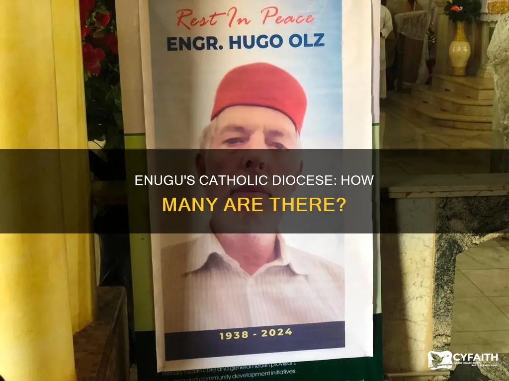 how many catholic diocese in enugu state