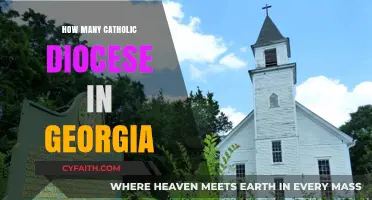 Catholic Diocese in Georgia: How Many Are There?