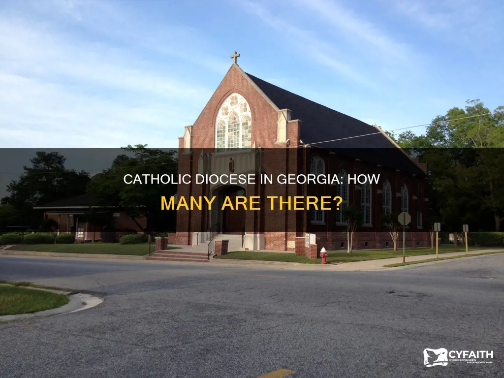 how many catholic diocese in georgia