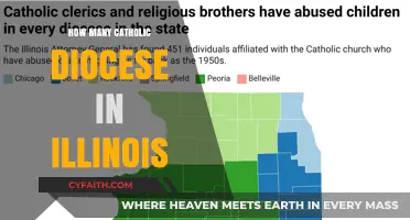 Illinois's Catholic Diocese: A Comprehensive Overview