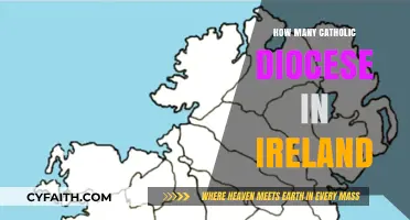 Ireland's Catholic Diocese: A Comprehensive Overview