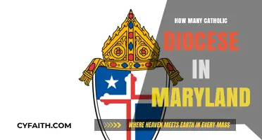 Maryland's Catholic Diocese: A Comprehensive Overview