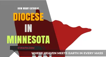 Minnesota's Catholic Diocese: A Comprehensive Overview