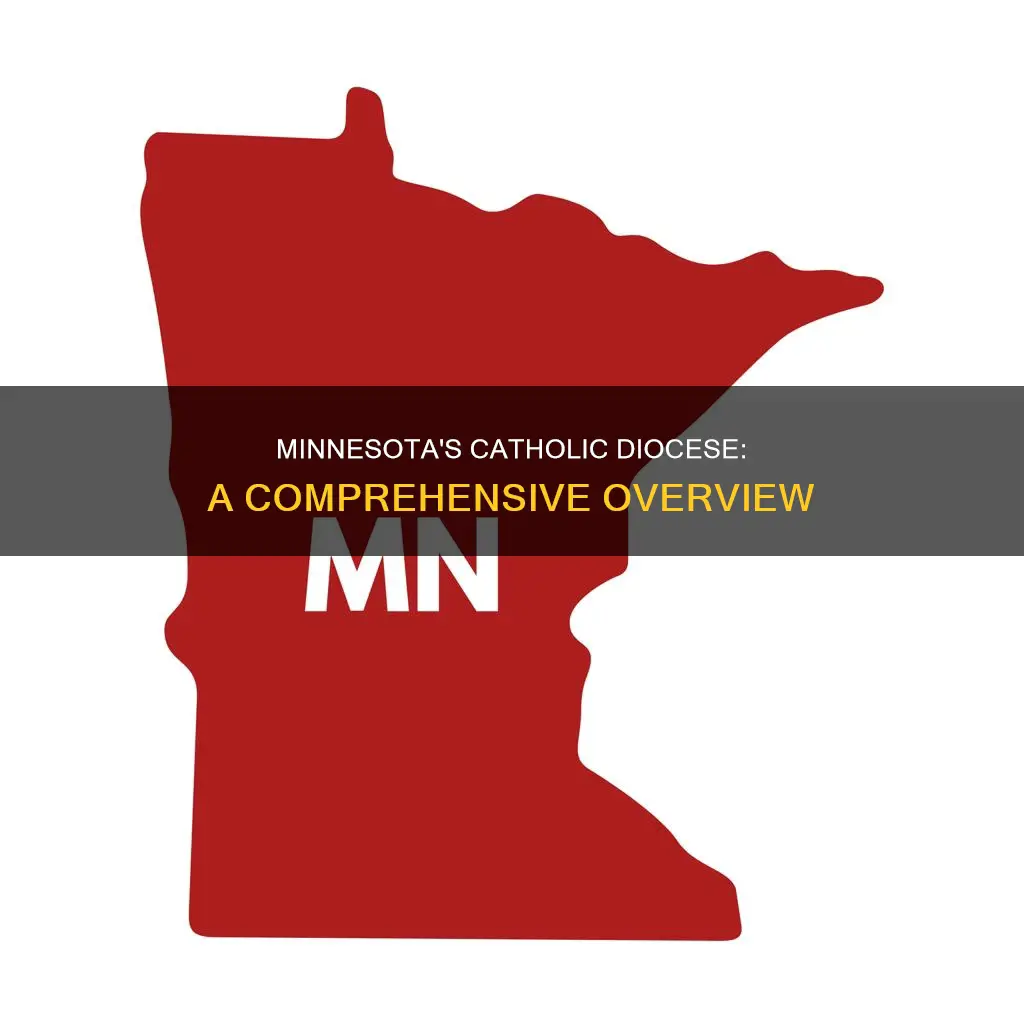 how many catholic diocese in minnesota