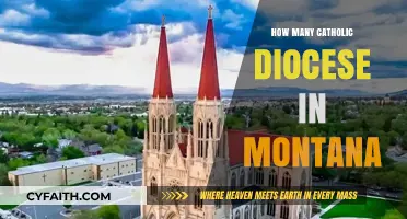 Montana's Catholic Diocese: How Many Are There?