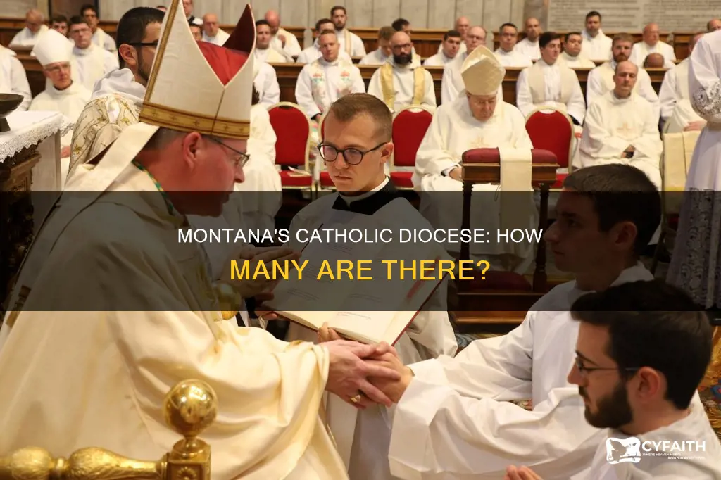 how many catholic diocese in montana