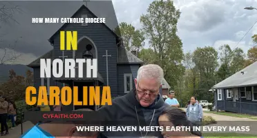 Catholic Diocese in North Carolina: A Comprehensive Count