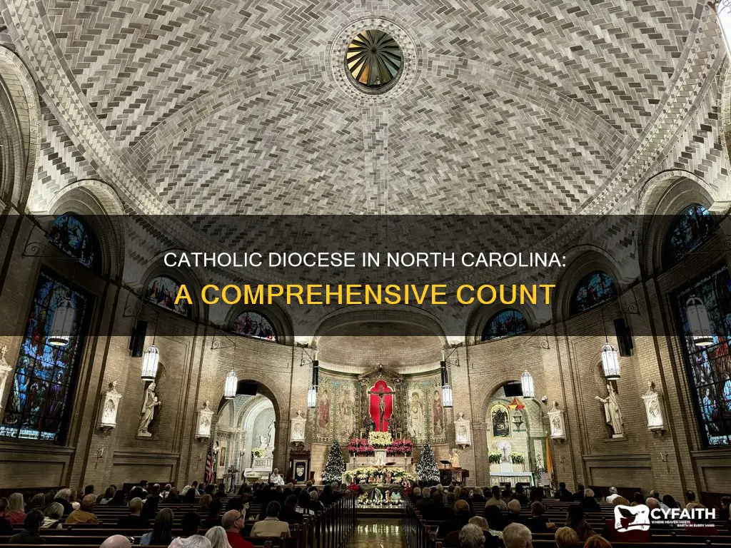 how many catholic diocese in north carolina