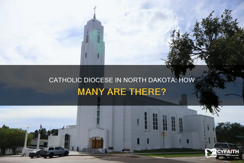 how many catholic diocese in north dakota
