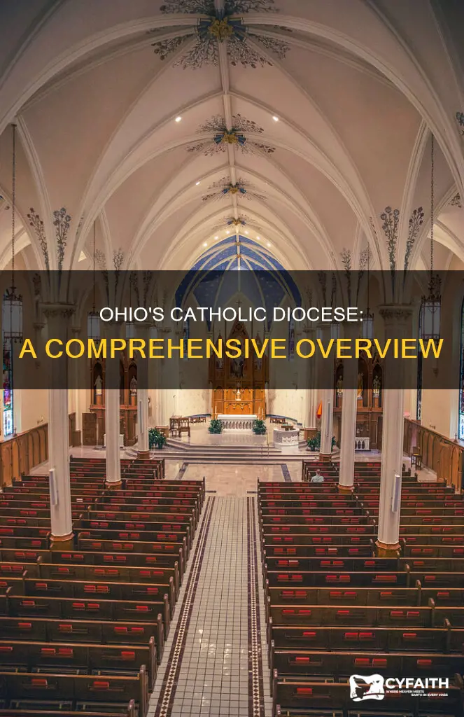 how many catholic diocese in ohio