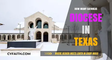 Texas Catholic Diocese: How Many Are There?
