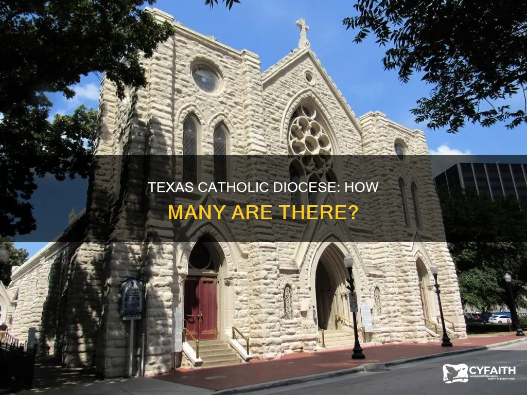 how many catholic diocese in texas