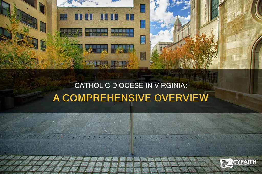 how many catholic diocese in virginia