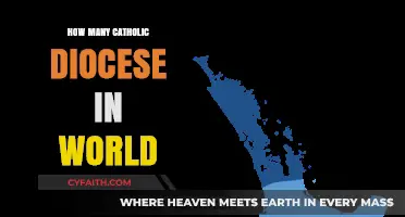 Global Catholic Diocese: How Many Are There?