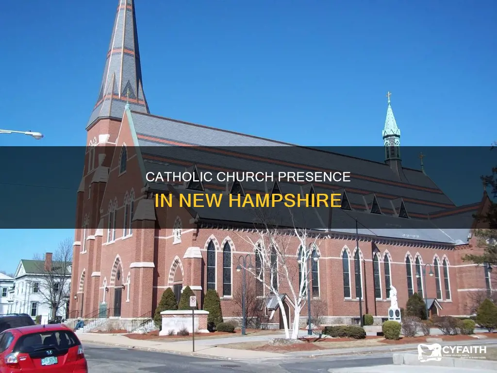 how many catholic dioceses are in new hampshire