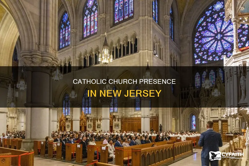 how many catholic dioceses are in nj