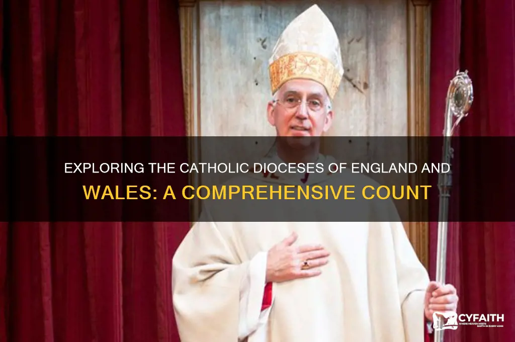 how many catholic dioceses are there in england and wales