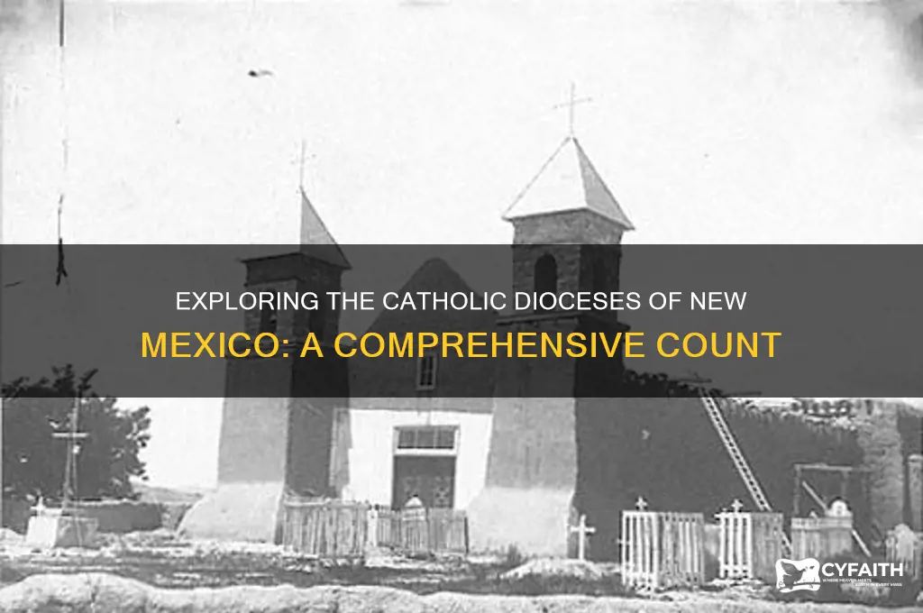 how many catholic dioceses are there in new mexico