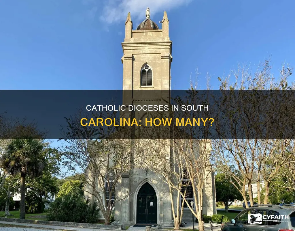 how many catholic dioceses in south carolina