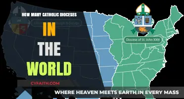 Global Catholic Church: Dioceses Explored