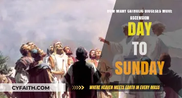 Ascension Day Shift: How Many Catholic Dioceses Move It to Sunday?