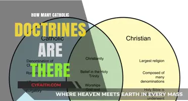 Exploring the Many Catholic Doctrines: How Many Exist?