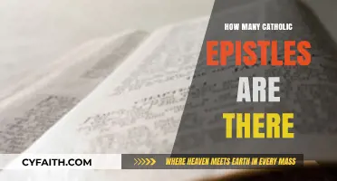 Exploring the Number of Catholic Epistles