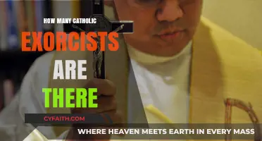 Exorcists in the Catholic Church: How Many Are There?