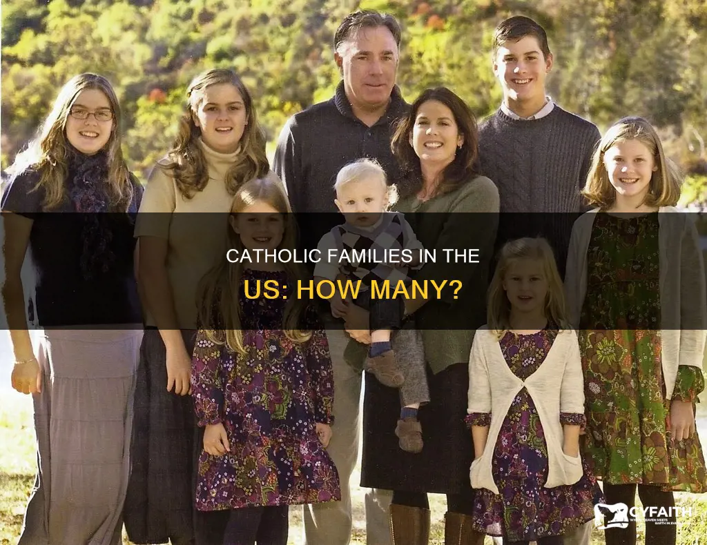 how many catholic families are in the us