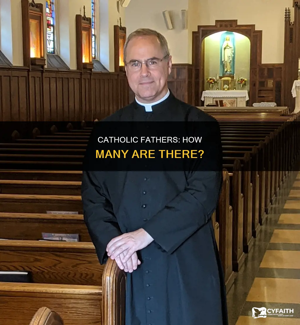 how many catholic fathers do we have