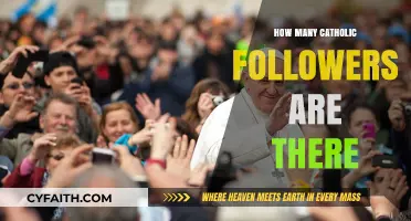 Global Catholic Followers: A Comprehensive Count