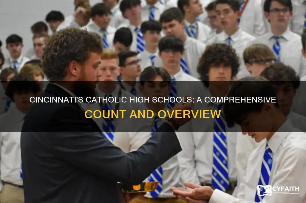 how many catholic highs chools are there in cincinnati