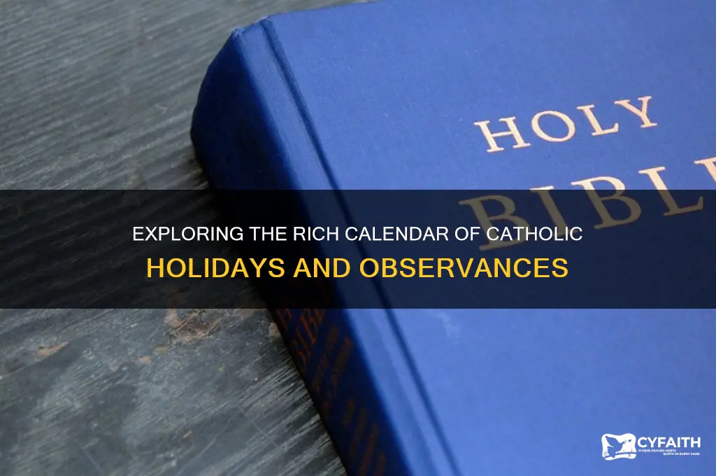 how many catholic holidays