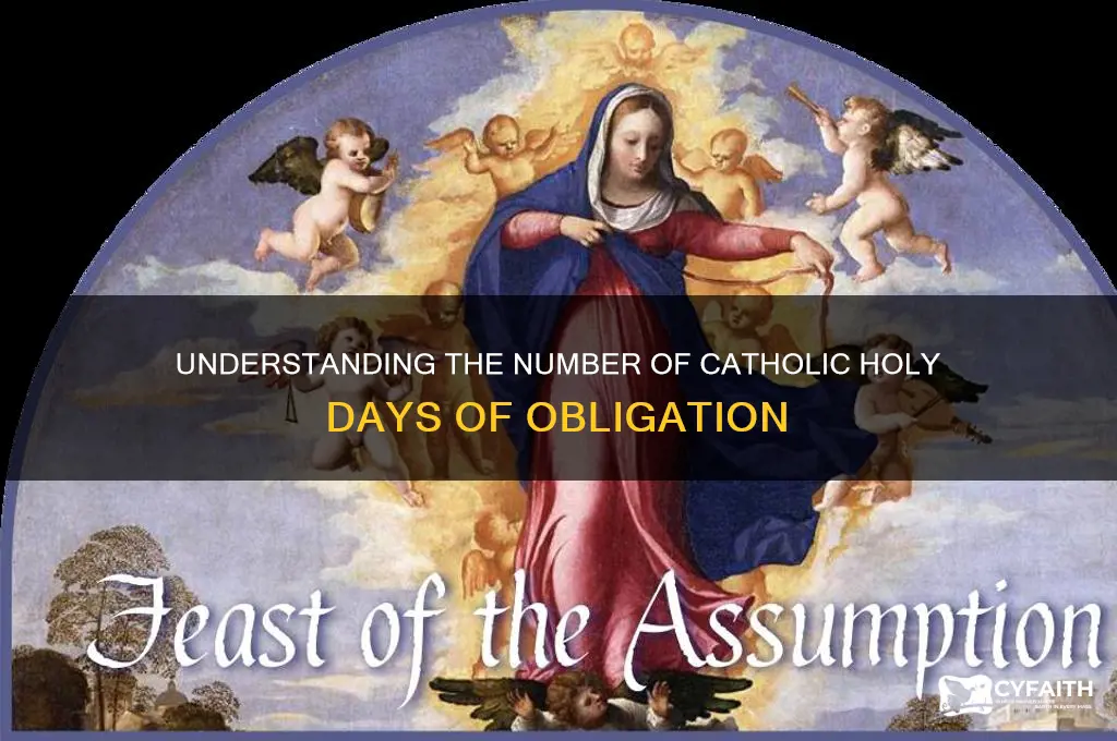how many catholic holy days of obligation are there