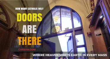 Exploring the Number of Catholic Holy Doors