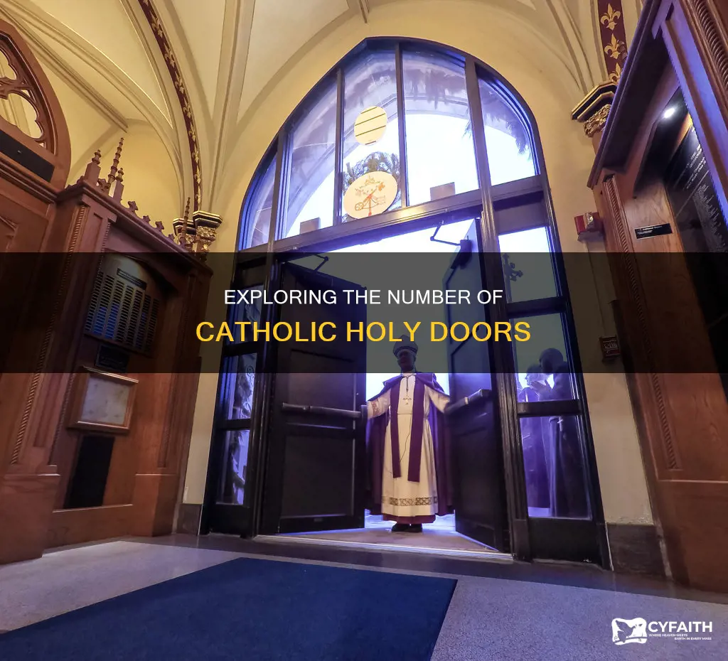 how many catholic holy doors are there
