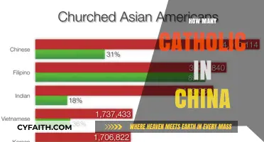 Exploring the Catholic Population in China: Numbers and Trends