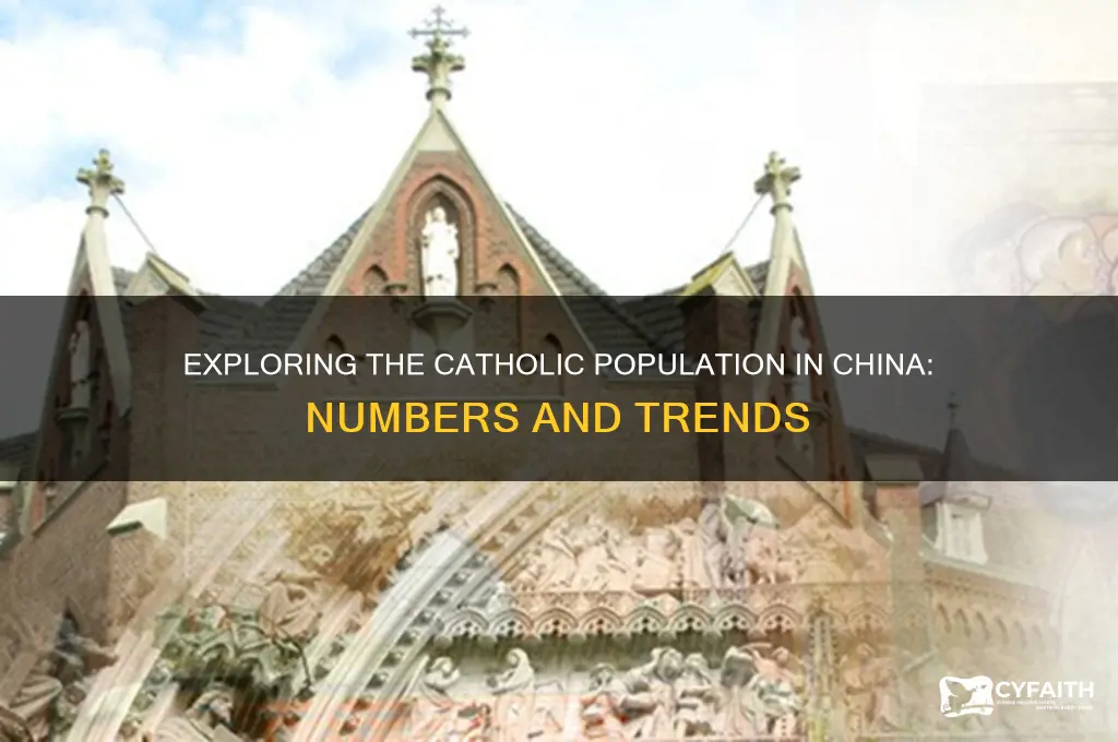 how many catholic in china
