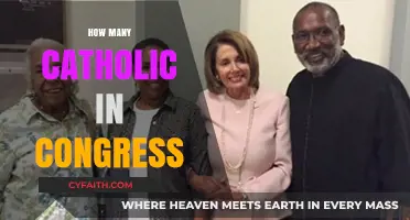 Catholic Representation in Congress: Numbers, Influence, and Political Impact