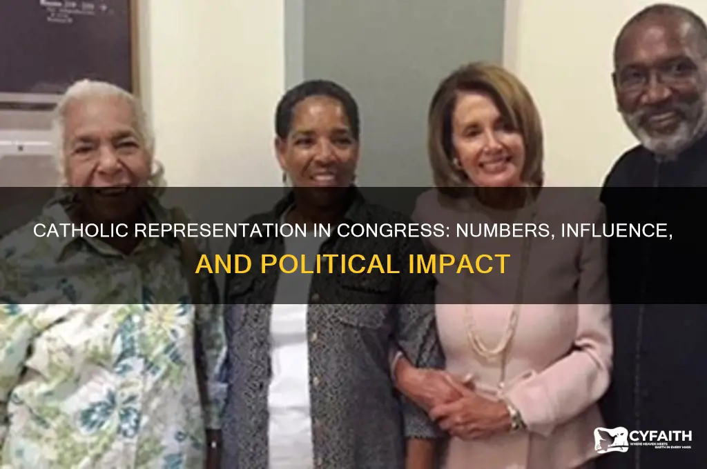 how many catholic in congress