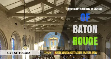 Baton Rouge Catholics: A Community Overview