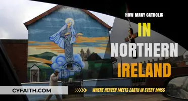 Catholics in Northern Ireland: Population and Influence