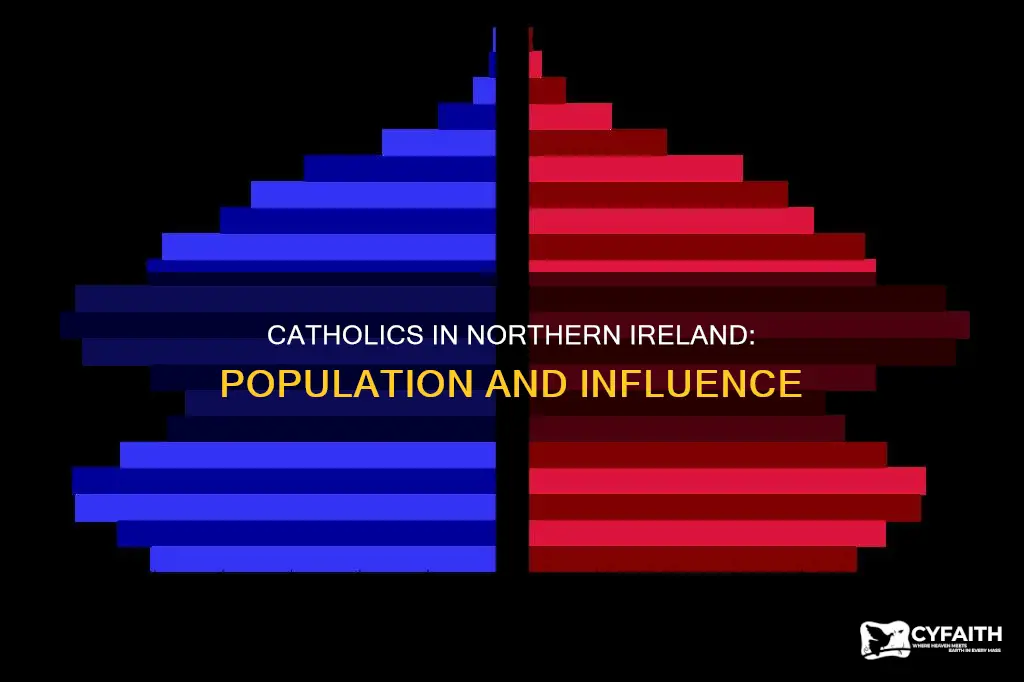 how many catholic in northern ireland