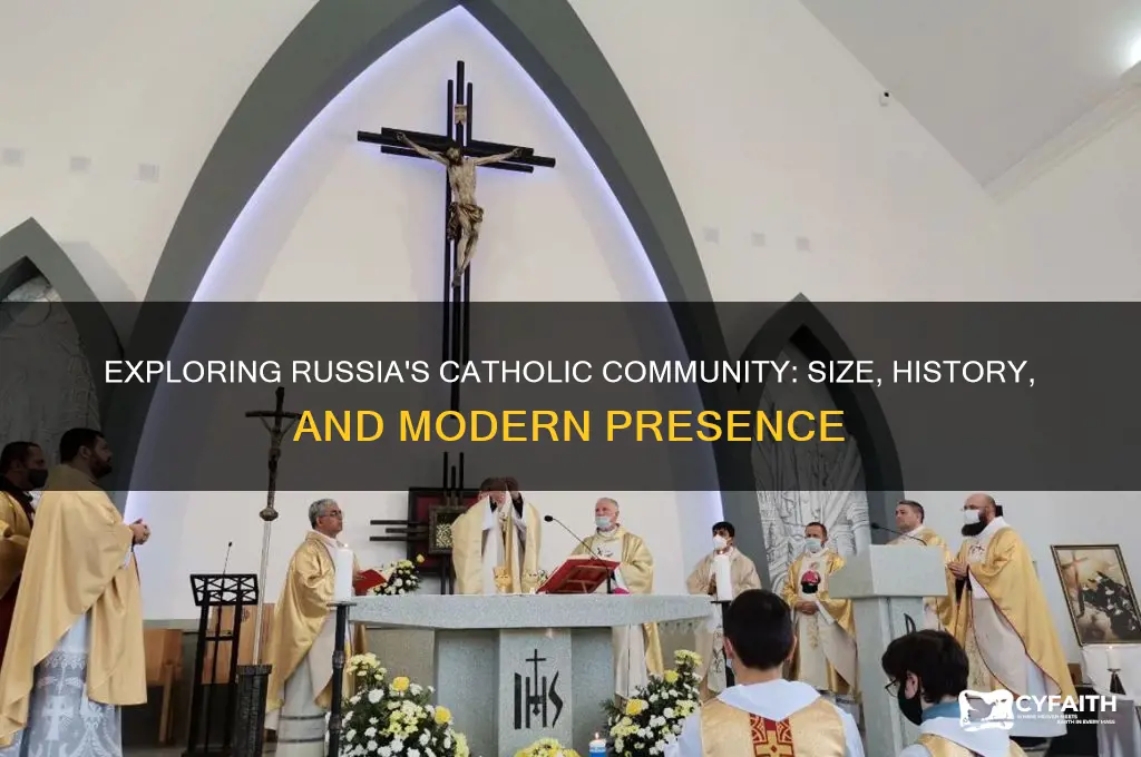 how many catholic in russia