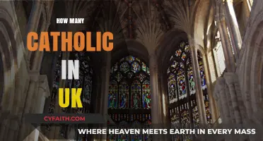 Exploring the Catholic Population in the United Kingdom: Facts and Figures